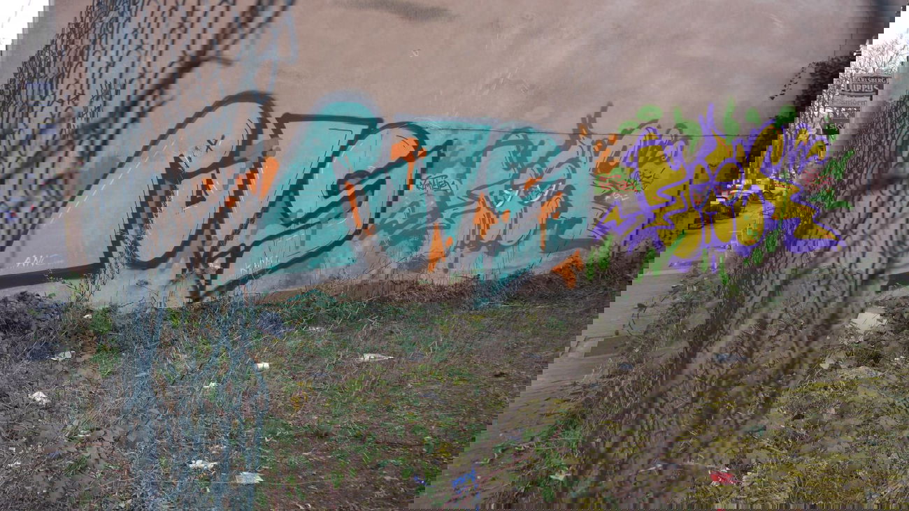 Graffiti Wall - Photo by crazyg - puls, gak (2013)