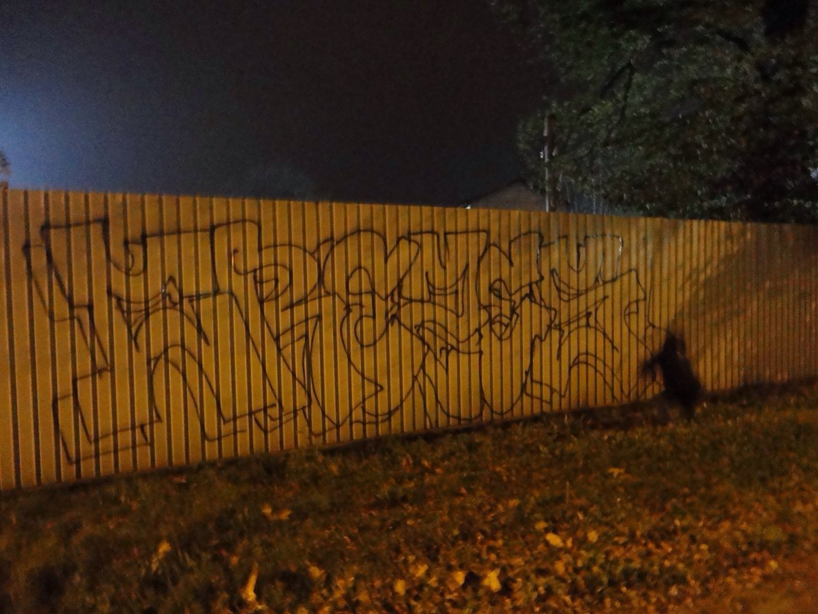 Graffiti Bombing - Photo by creezes