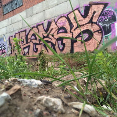 Graffiti Bombing - Photo by creezes