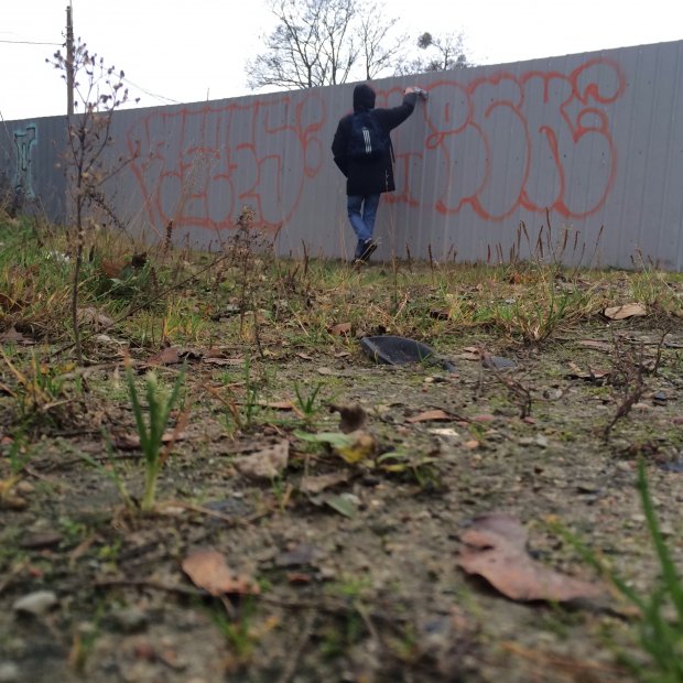 Graffiti Bombing - Photo by creezes