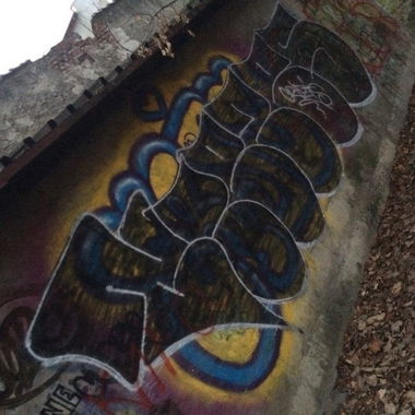 Graffiti Bombing - Photo by creezes