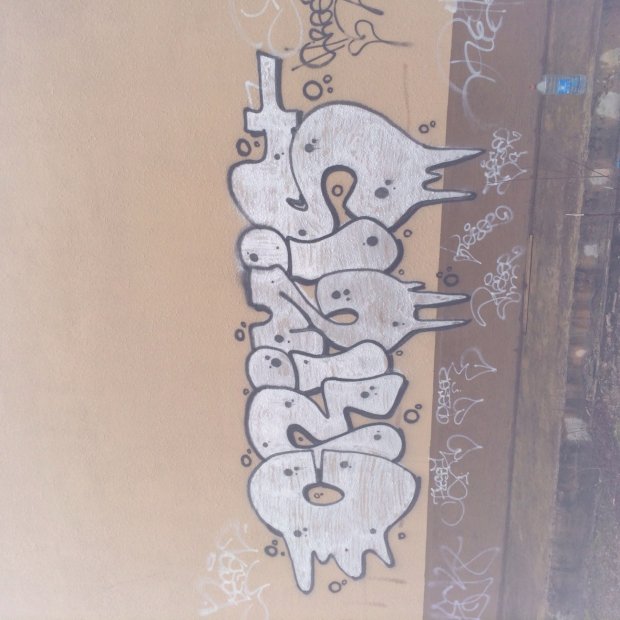 Graffiti Bombing - Photo by creezes