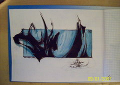 Photo #39423 by TheWallHunter