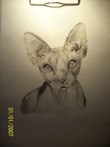 Graffiti Sketch - Photo by crime - crime, Crime, CRIME (2014)