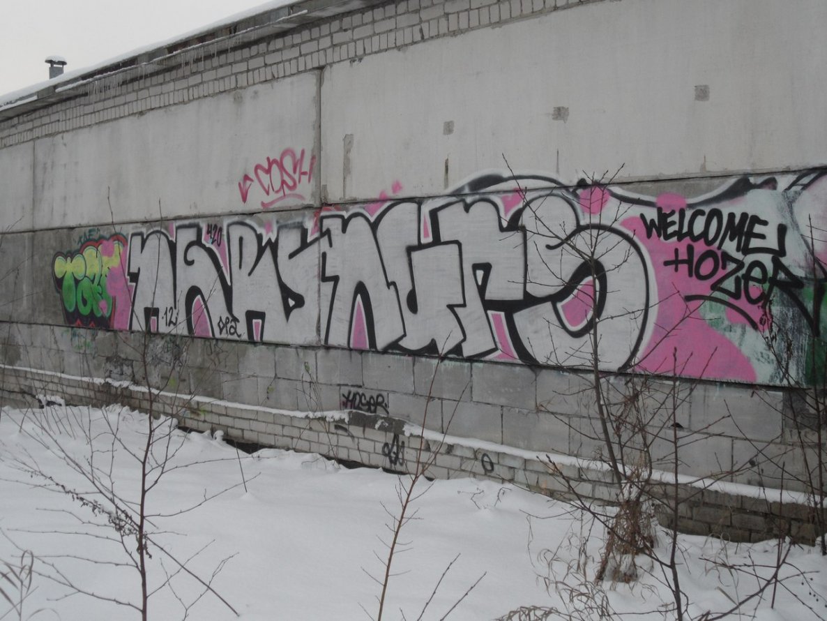 Graffiti Bombing - Photo by criminvl - Ngrs, tallinn, hoser (2012)