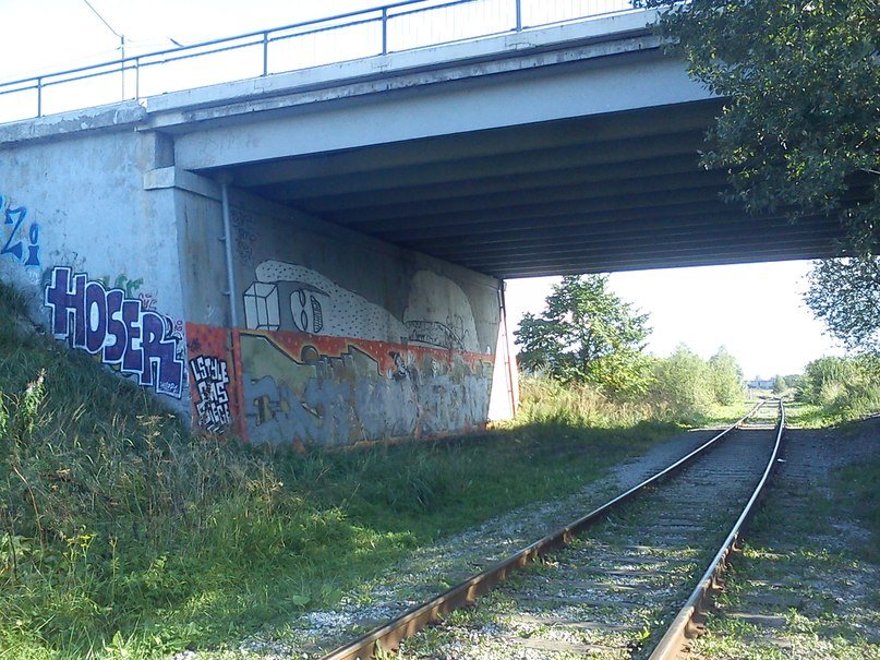 Graffiti Bombing - Photo by criminvl - tallinn, train, line (2011)