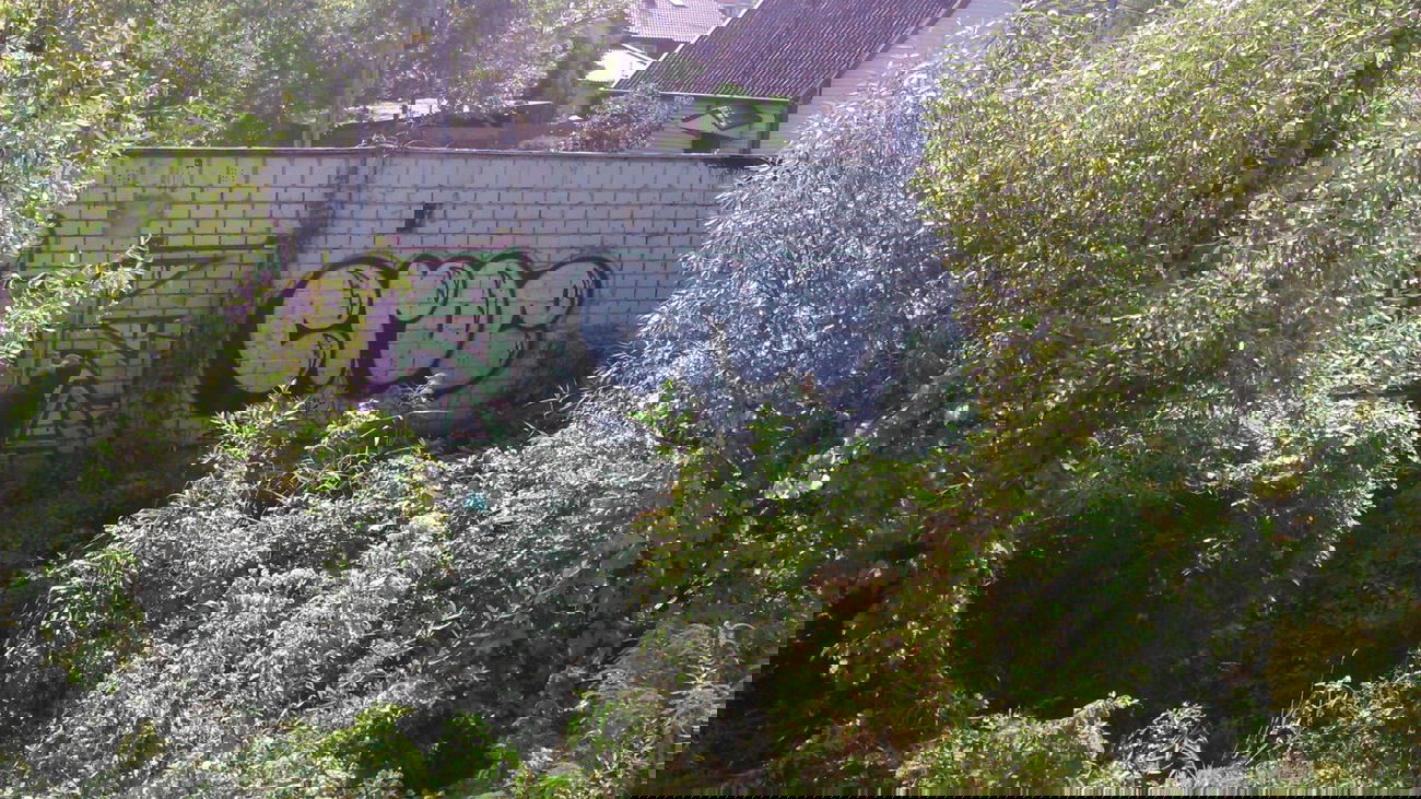 Graffiti Bombing - Photo by croe