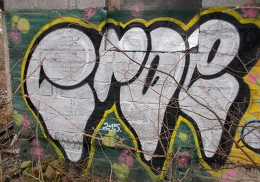 Graffiti Bombing - Photo by croe