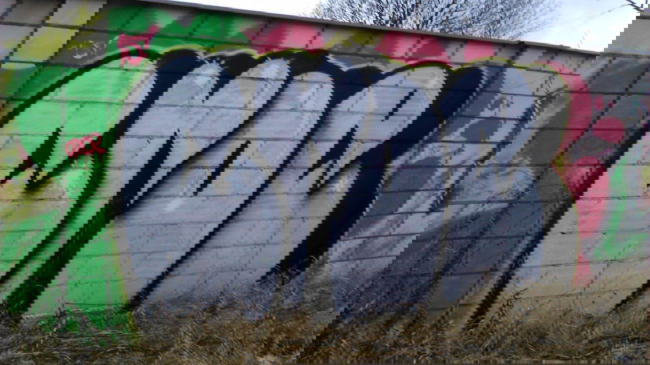 Graffiti Bombing - Photo by croe (2015)