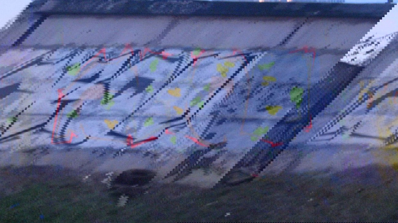 Graffiti Wall - Photo by crps13