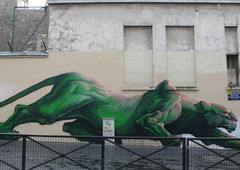 Photo #451 by BugZBuNNy