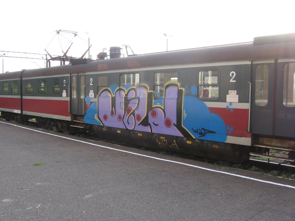 Graffiti Train - Photo by curko