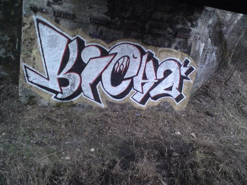 Graffiti Bombing - Photo by curko