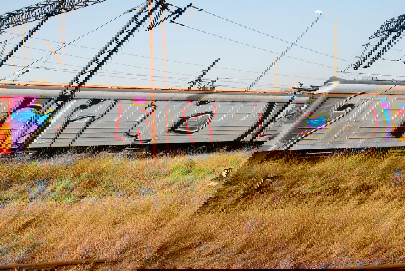 Graffiti Train - Photo by curko