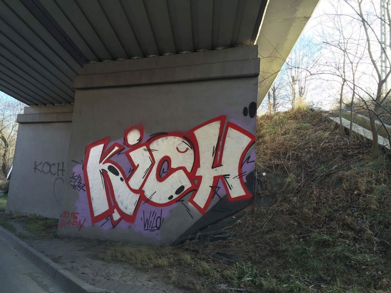 Graffiti Wall - Photo by curko - silesia, wild, kich (2015)