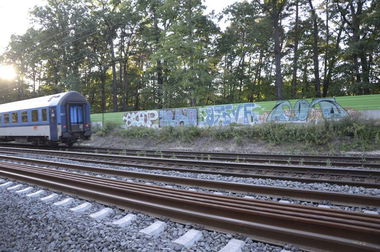 Graffiti Bombing in Česko - Photo by czechffiti - train, line (2015)