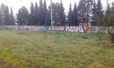 Graffiti Bombing in Česko - Photo by czechffiti - idiot, aeiou