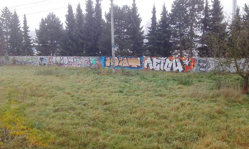 Graffiti Bombing in Česko - Photo by czechffiti - idiot, aeiou