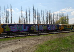 Photo #164140 by ZEOT