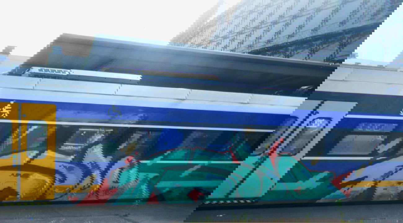 Graffiti Train - Photo by daREALziegenpeter - tasso