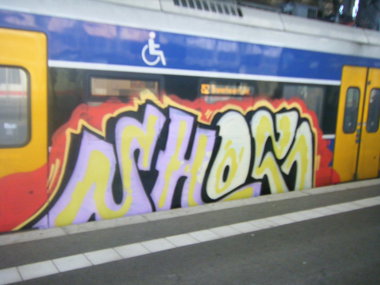 Graffiti Train - Photo by daREALziegenpeter - shotwo, sho2 (2012)