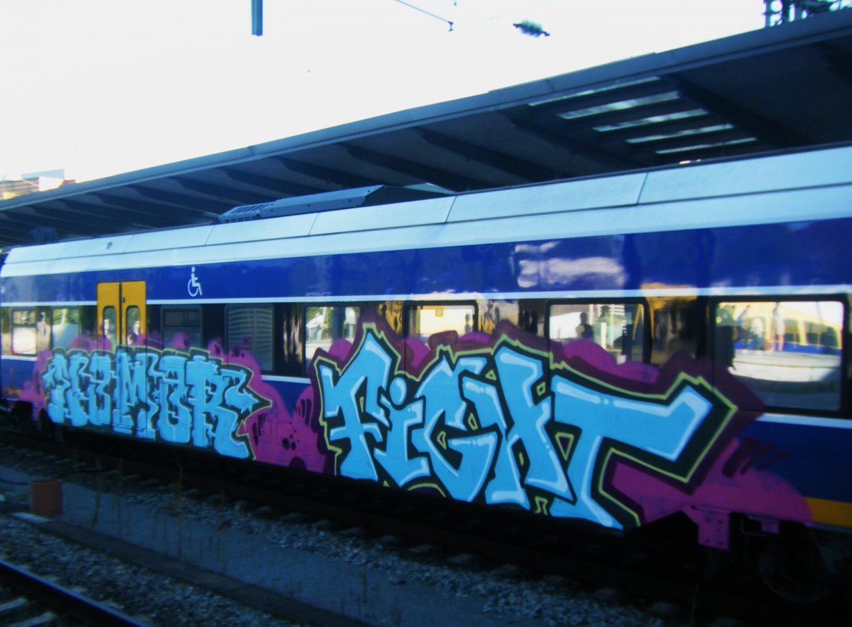 Graffiti Train - Photo by daREALziegenpeter - nomor, fight (2012)
