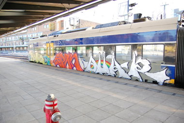 Graffiti Train - Photo by daREALziegenpeter - ratio, epon, quar