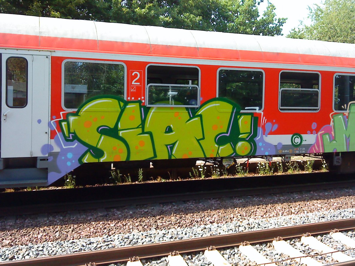 Graffiti Train - Photo by daREALziegenpeter - slac (2010)