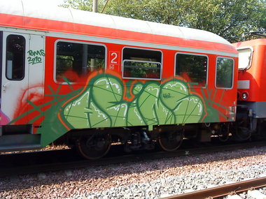 Graffiti Train - Photo by daREALziegenpeter - heins, bms (2010)