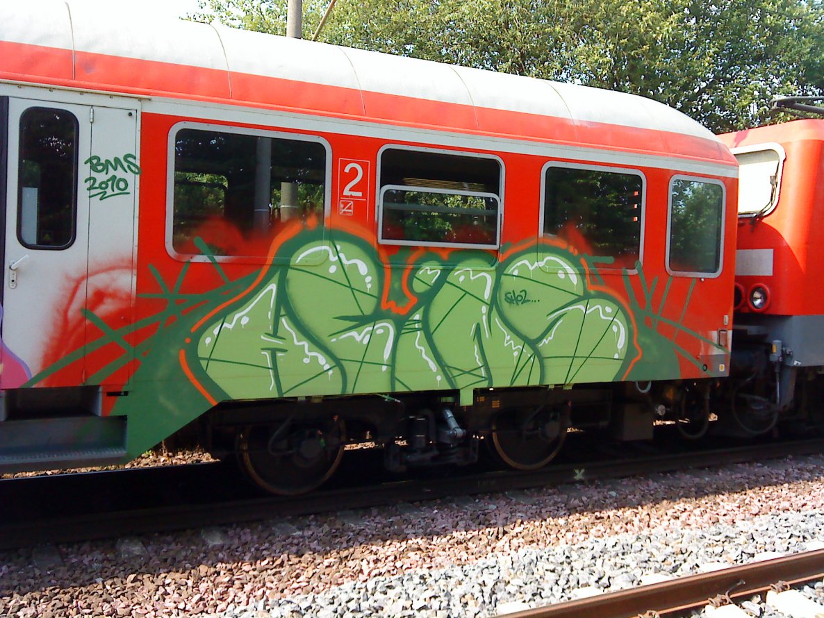 Graffiti Train - Photo by daREALziegenpeter - heins, bms (2010)