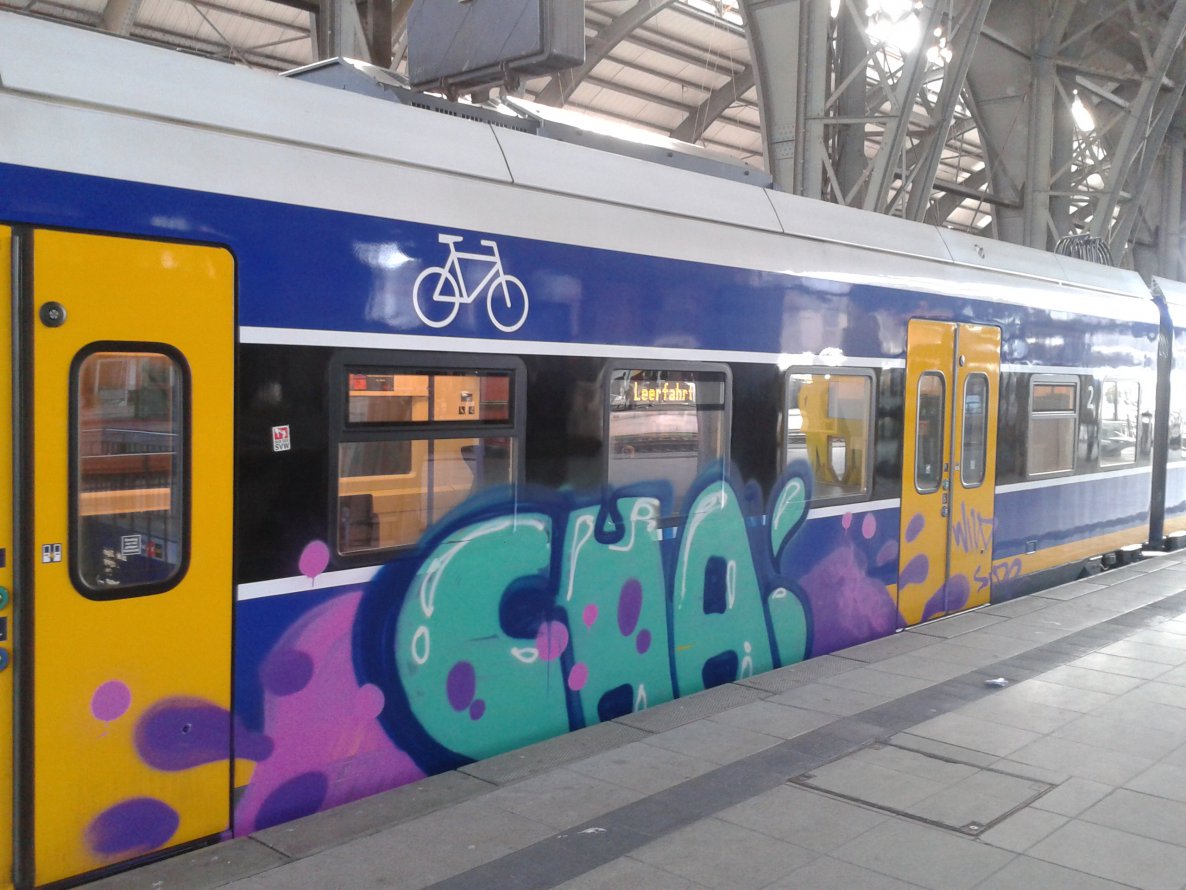 Graffiti Train - Photo by daREALziegenpeter - cha