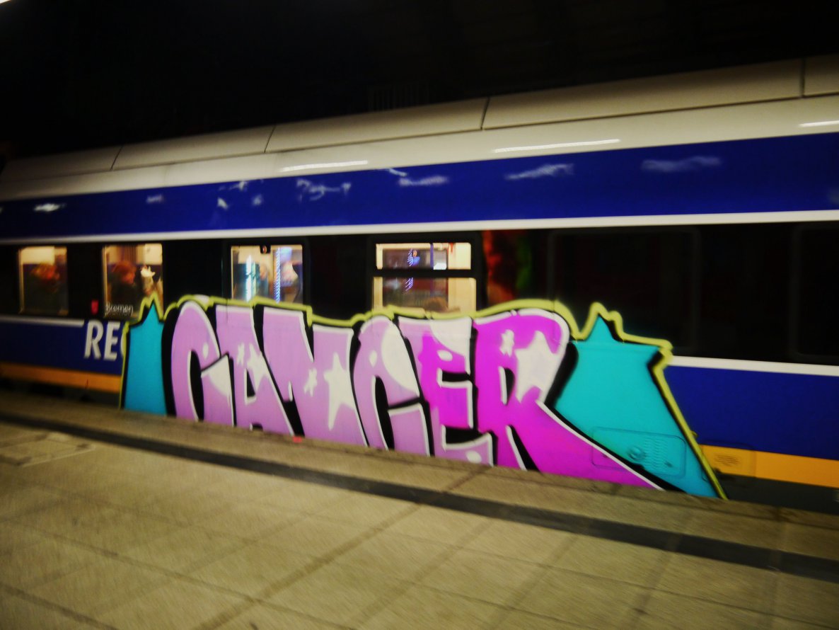 Graffiti Train - Photo by daREALziegenpeter - cancer