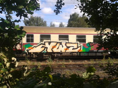 Graffiti Train - Photo by daREALziegenpeter - swk