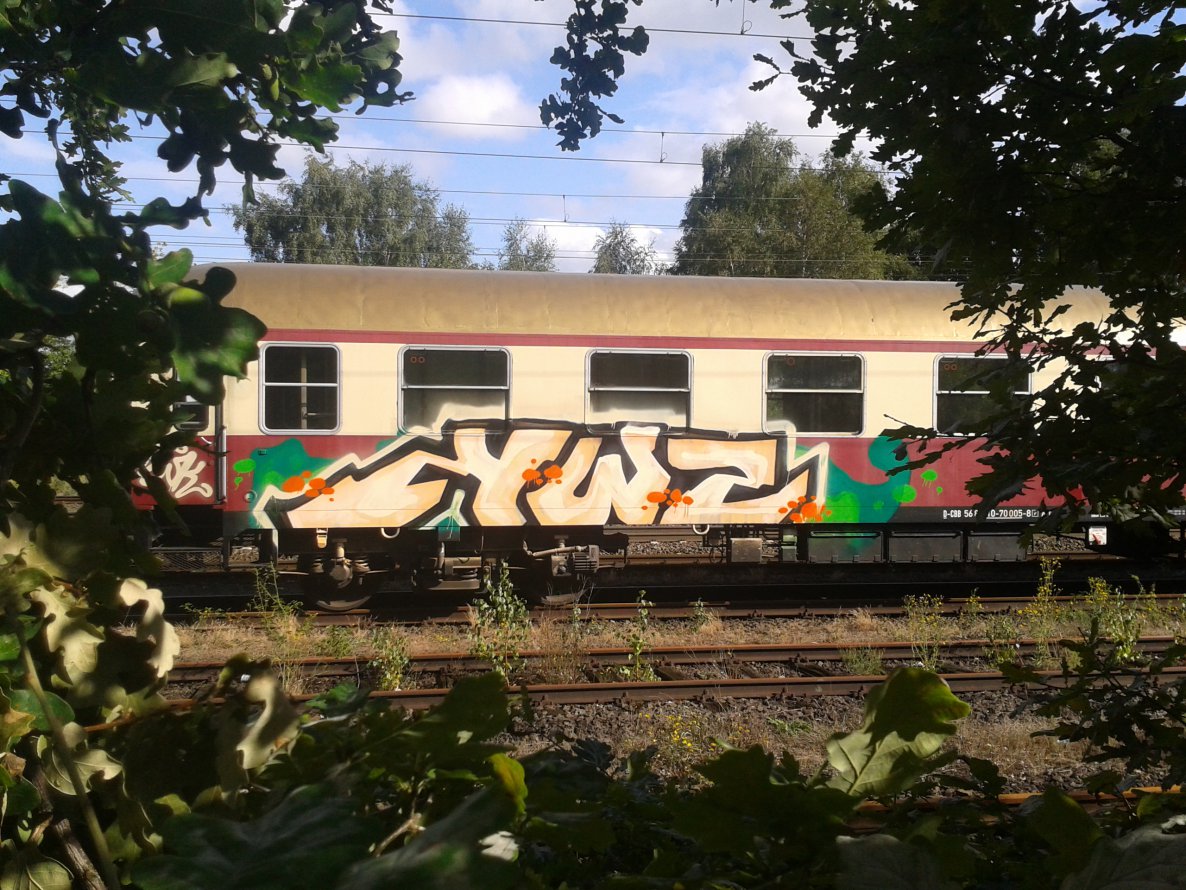 Graffiti Train - Photo by daREALziegenpeter - swk