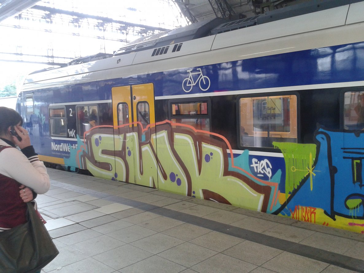 Graffiti Train - Photo by daREALziegenpeter - swk