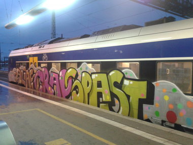 Graffiti Train - Photo by daREALziegenpeter - alias, crap, spast