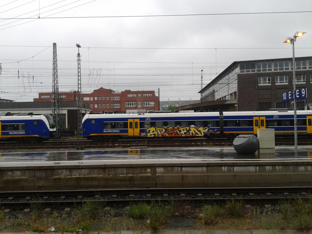 Graffiti Train - Photo by daREALziegenpeter - arsen