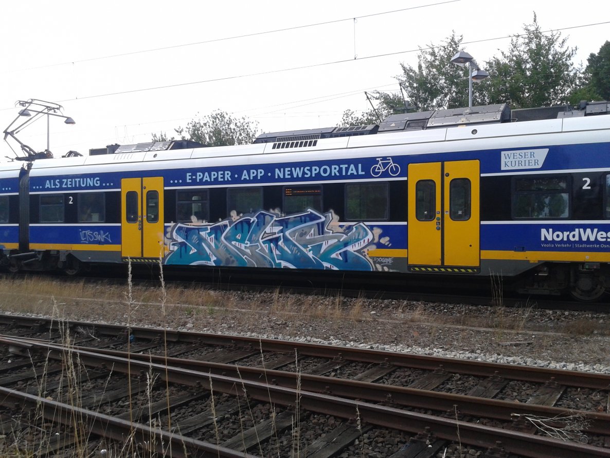Graffiti Train - Photo by daREALziegenpeter - news, ilts