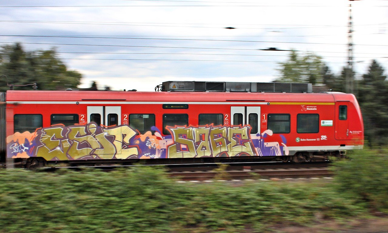 Graffiti Train - Photo by daREALziegenpeter - esit, sage