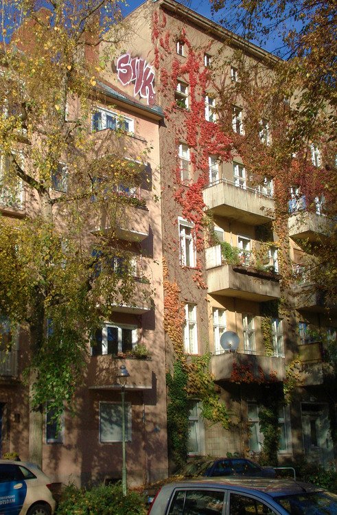 Graffiti Bombing - Photo by daREALziegenpeter