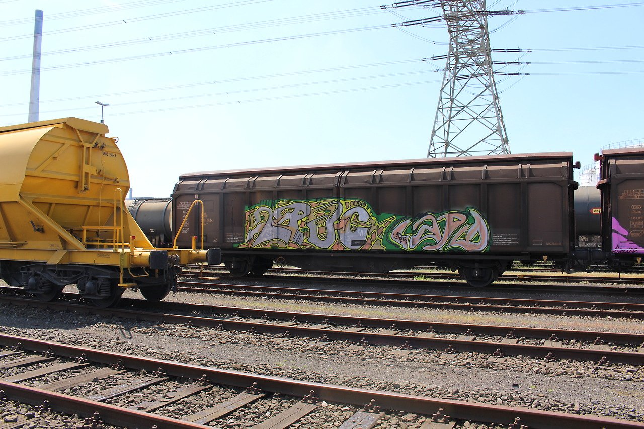 Graffiti Train - Photo by daREALziegenpeter - 2pac, lapd