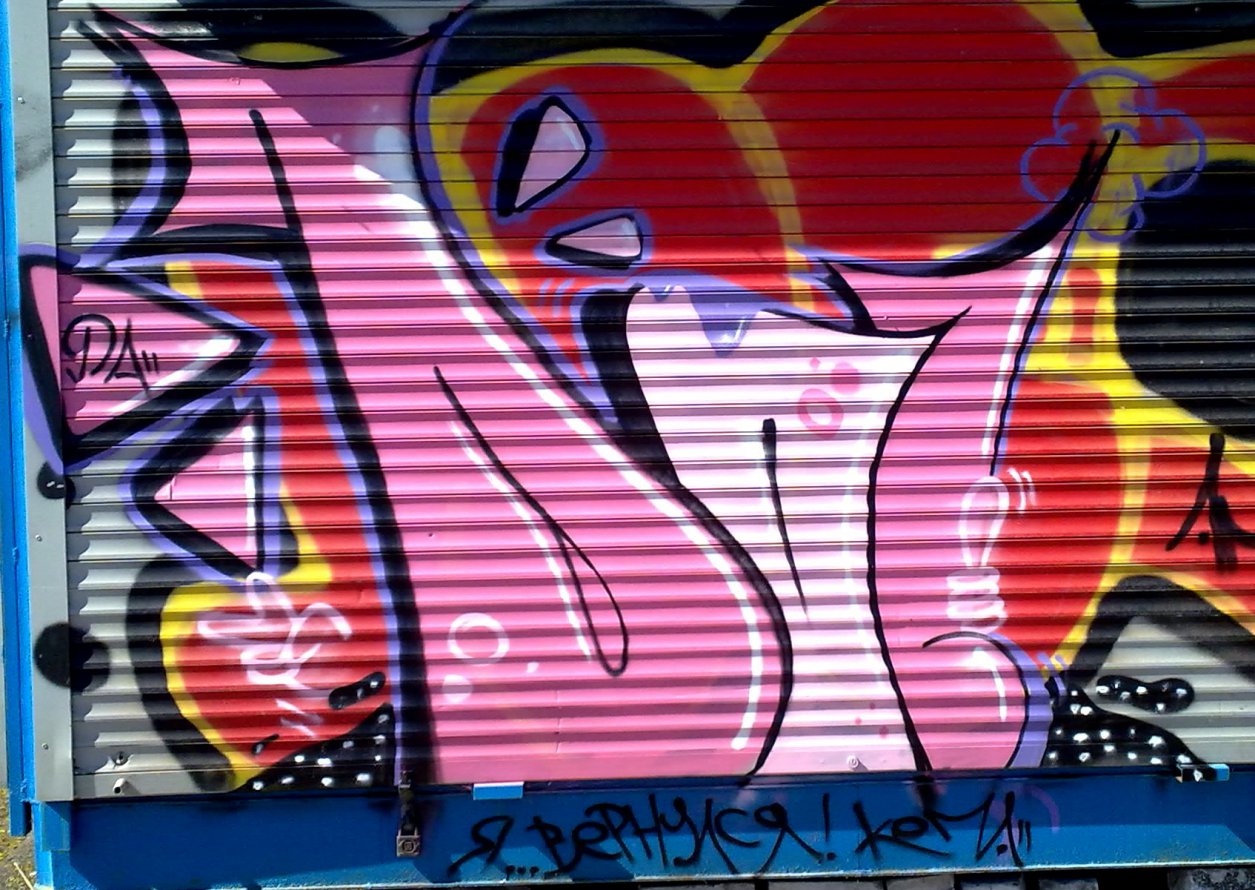 Graffiti Bombing - Photo by dacrew