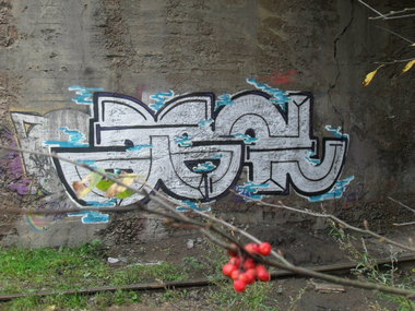 Graffiti Bombing - Photo by dacrew