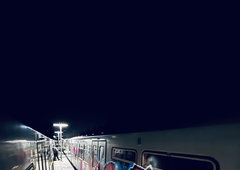 Photo #249475 by TheWallHunter