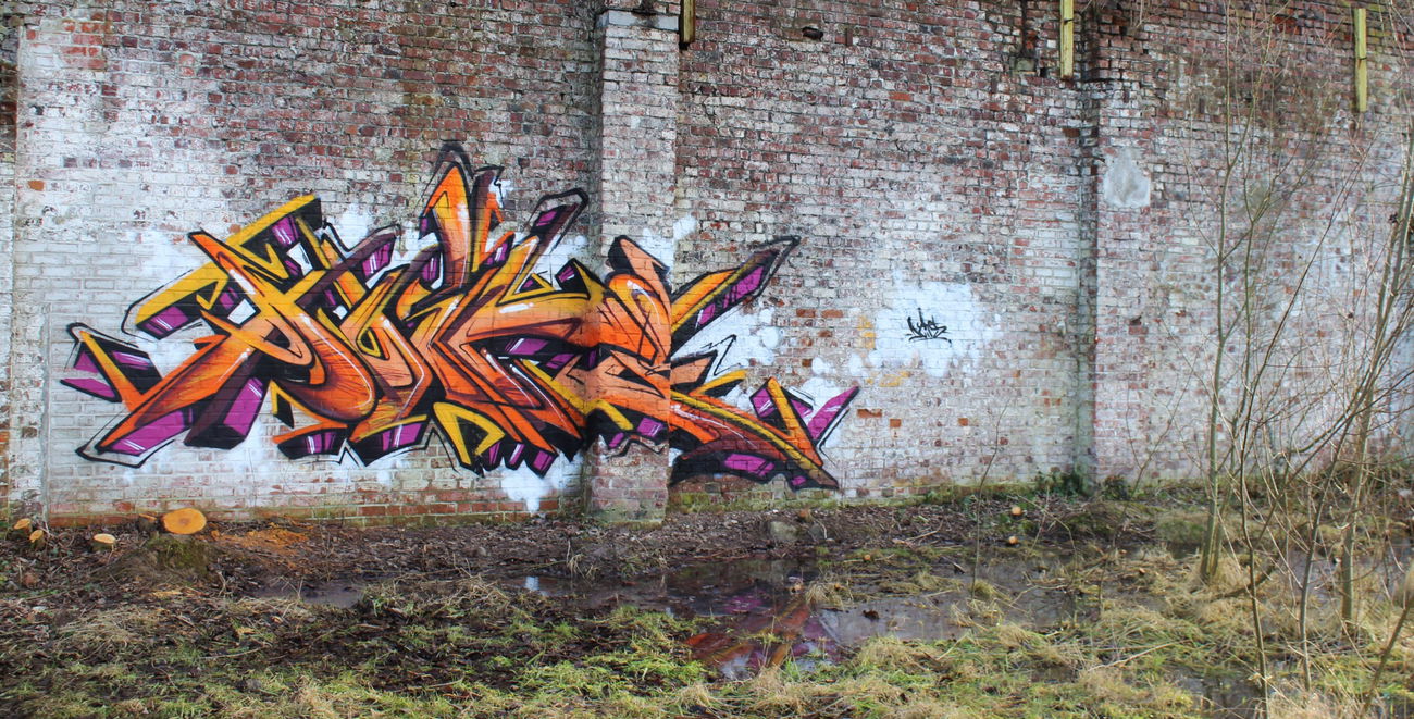 Graffiti Wall in Kortrijk belgium - Photo by davidduits - NBQpro (2015)