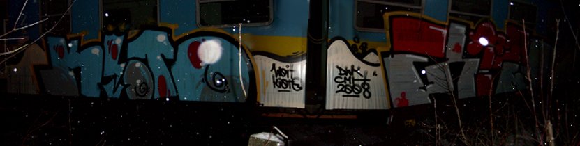 Graffiti Train - Photo by daybeforetommorow (2008)