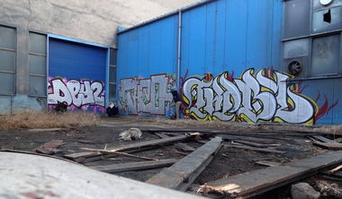 Graffiti Bombing - Photo by daybeforetommorow - Dey2, Thizz, Tribal