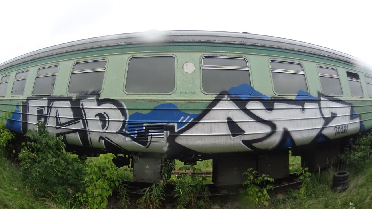 Graffiti Train - Photo by deadkennedis (2016)