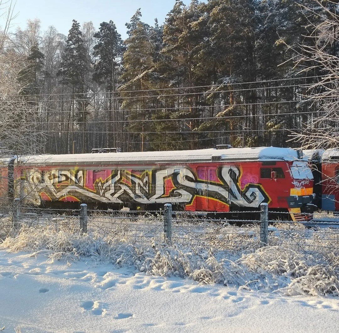 Graffiti Train - Photo by deadkennedis