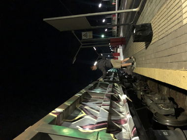 Graffiti Train - Photo by deadkennedis